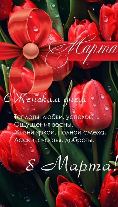 photo_2026-03-08_15-23-58